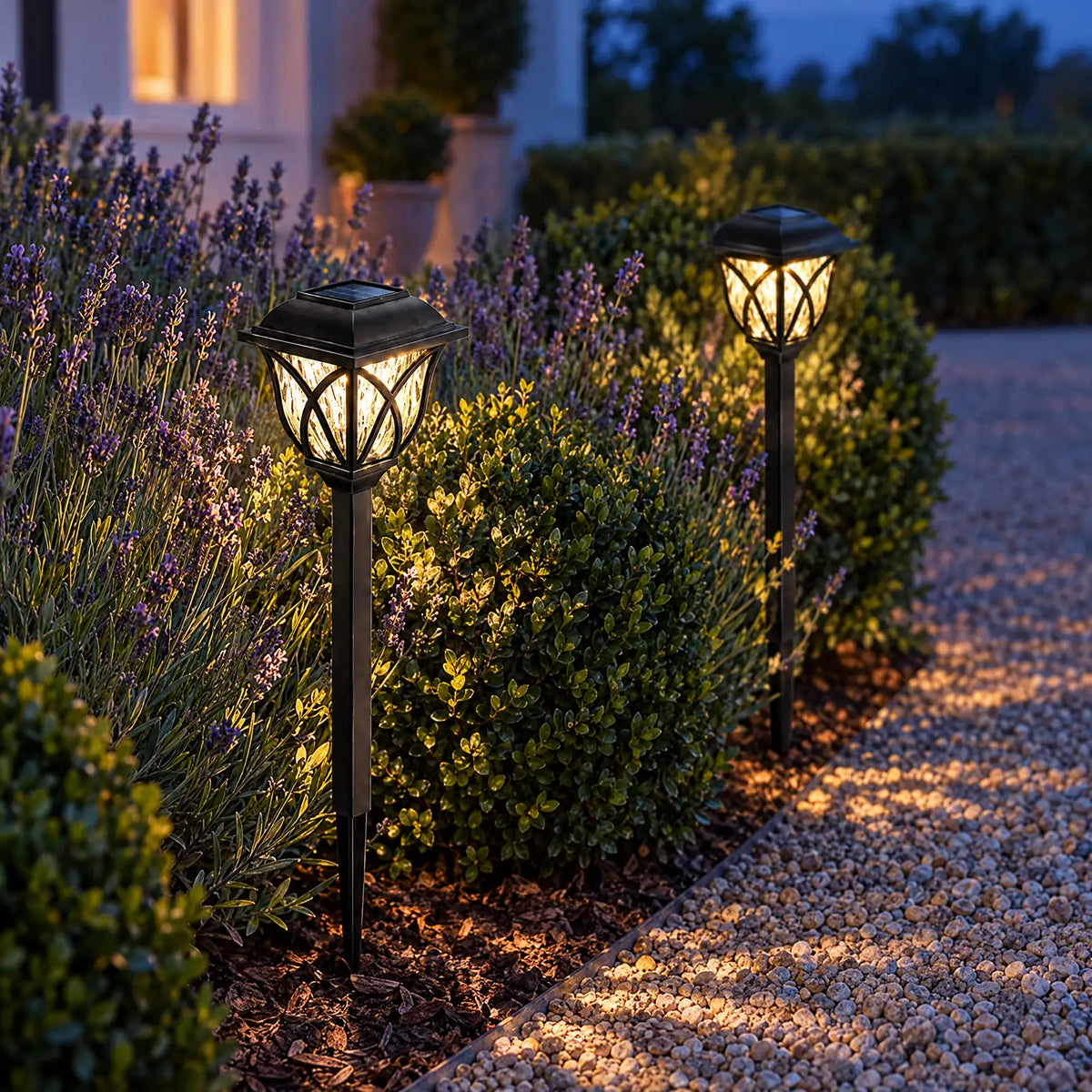 Lampes solaires Dolia allumées dans un massif de lavande Image