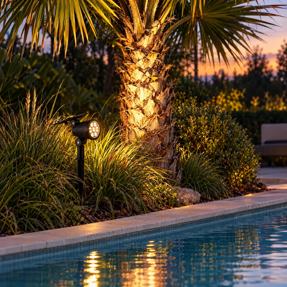 Projecteur solaire Claris éclairant un palmier au bord d'une piscine Image