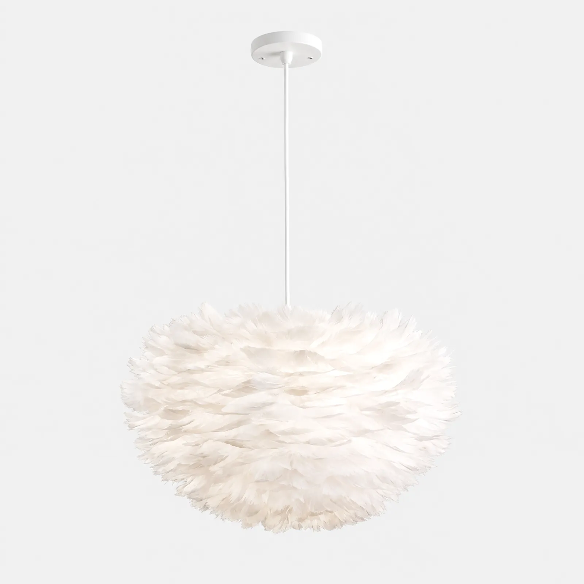 Suspension plume blanche Blank, photo sur fond uni